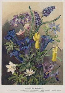 Bloemen voor Rotswerk